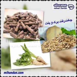 تفاله چغندر قند