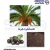 پودر خرما یزد