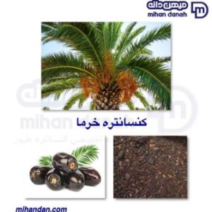 پودر خرما یزد