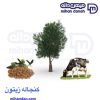 پودر زیتون