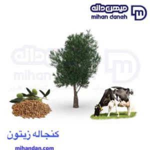 پودر زیتون