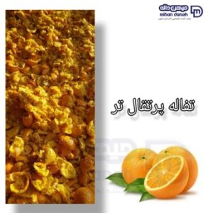 پرتقال تر