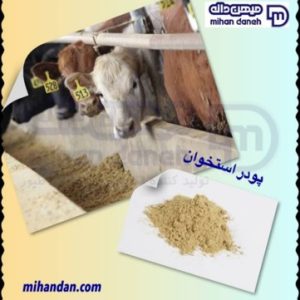 پودر استخوان
