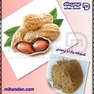 بادام زمینی