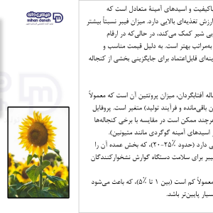 کنجاله افتابگردان