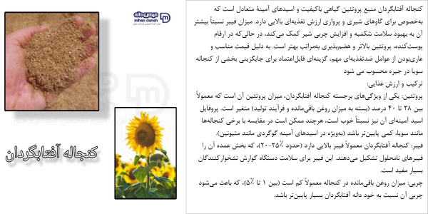 کنجاله افتابگردان